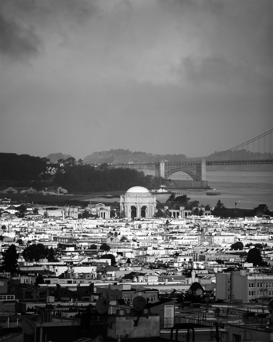 Portrait of the Marina District